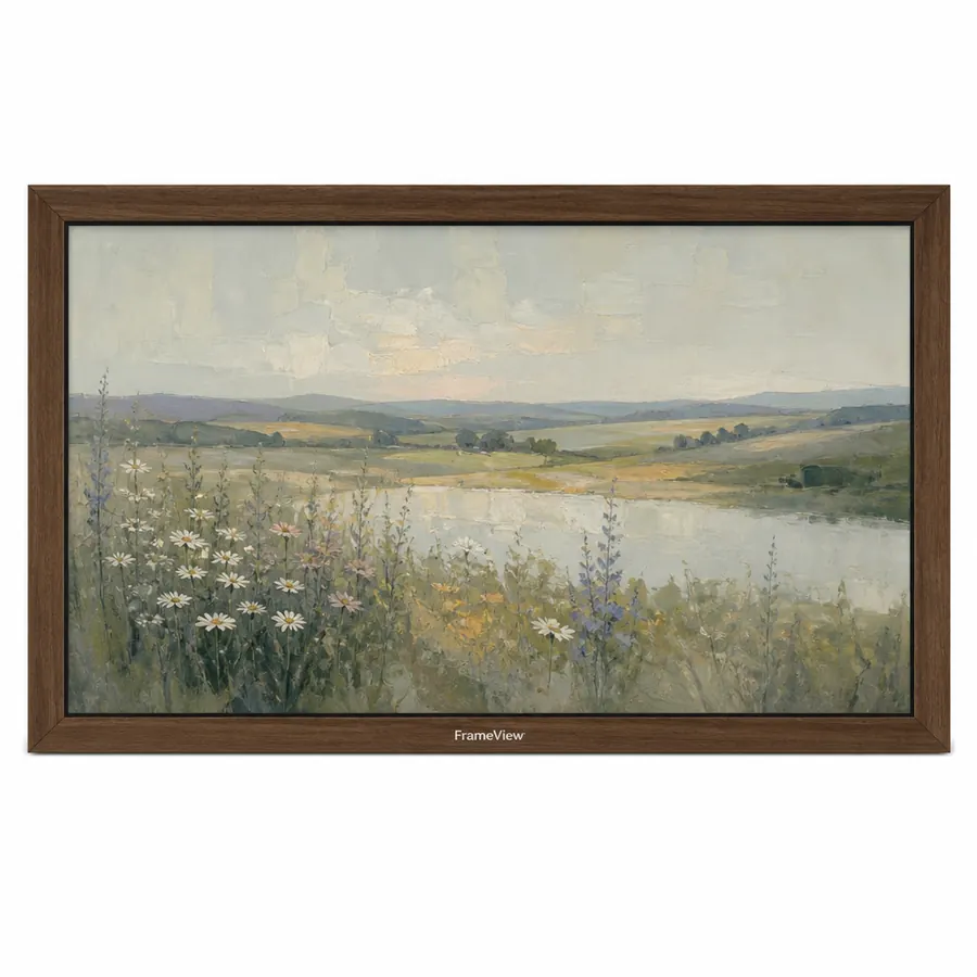 FrameView 55 Art TV